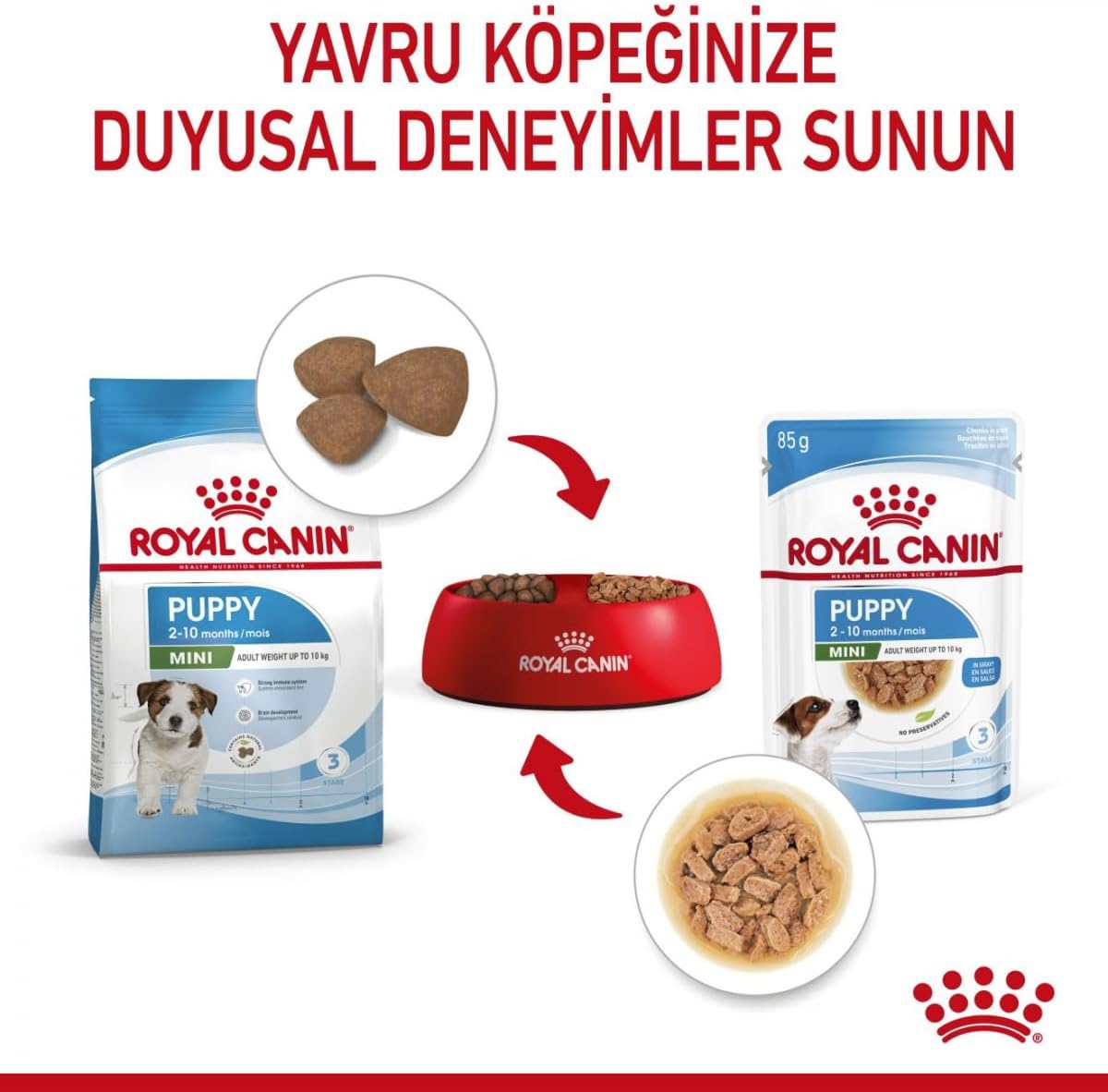 Royal Canin Mini Puppy in Gravy Pouches Wet Dog Food 85 GMS 12 Pack [x2]
