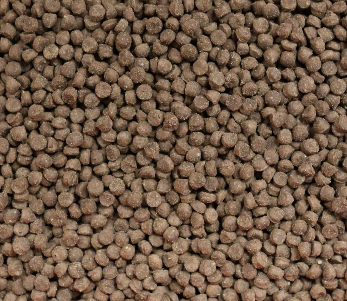 Vetalogica Naturals Grain Free Lamb Adult Dry Dog Food 3 kg [x2]