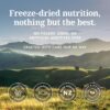 K9 Natural - Grain Free Freeze Dried Dog Food Topper - Lamb & Salmon,100g [x4]
