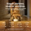 K9 Natural - Grain Free Freeze Dried Dog Food Topper - Lamb & Salmon,100g [x4]