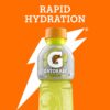 Gatorade Lemon Lime Sports Drink 12 x 600ml [x3]