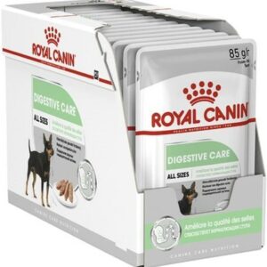 Royal Canin Digestive Care Adult Loaf Pouches Wet Dog Food 85 GMS 12 Pack [x2]
