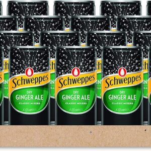 Schweppes Dry Ginger Ale 24 x 200ml [x2]