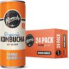 Remedy Kombucha Ginger Lemon 250mL Cans 24 Pack [x2]