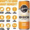 Remedy Kombucha Ginger Lemon 250mL Cans 24 Pack [x2]