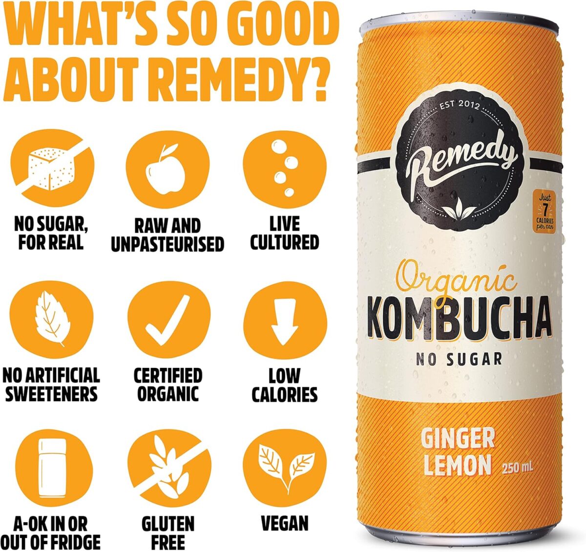 Remedy Kombucha Ginger Lemon 250mL Cans 24 Pack [x2]