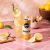 Remedy Kombucha Ginger Lemon 250mL Cans 24 Pack [x2]