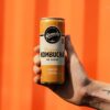 Remedy Kombucha Ginger Lemon 250mL Cans 24 Pack [x2]
