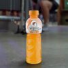 Gatorade No Sugar Orange Sports Drink 12 x 600ml [x3]