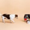 SavourLife Essentials Dog Food, Australian Beef Veggies & Rice, 3kg [x3]
