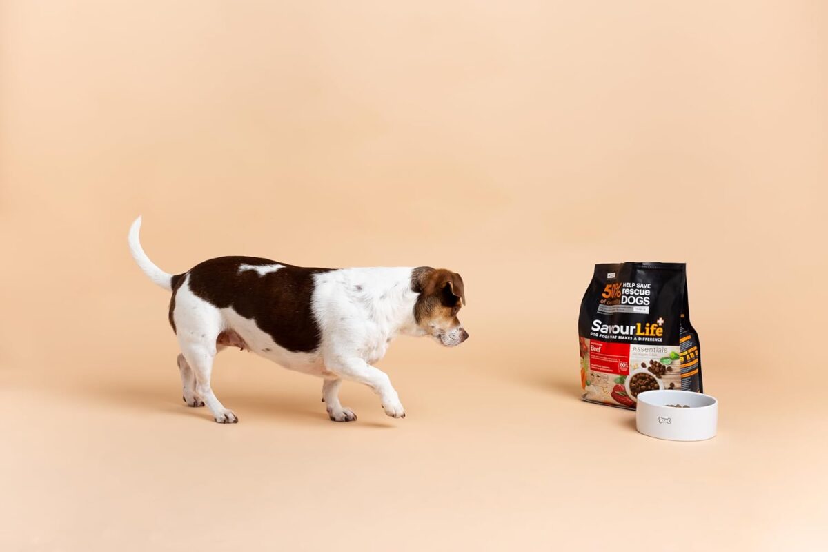 SavourLife Essentials Dog Food, Australian Beef Veggies & Rice, 3kg [x3]