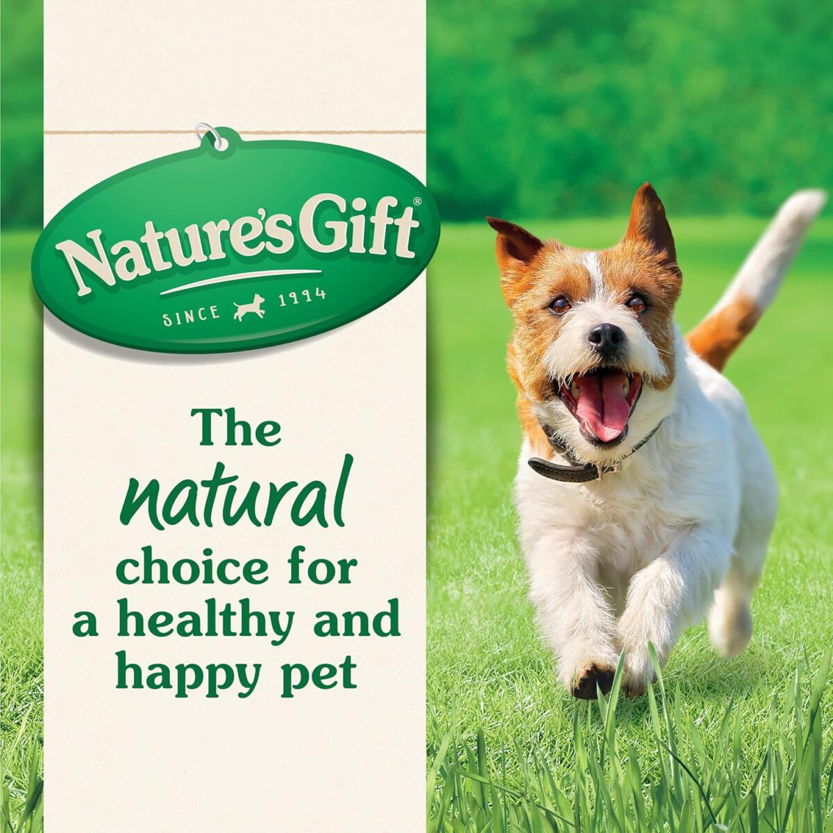Nature's Gift Adult Wet Dog Food Loaf Prime Beef in Gravy 9x100g [x6]