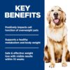 B0C12WPNLX_img_4 Hill's Science Diet Adult Perfect Weight Chicken Recipe Dry Dog Food 5.44 kg
