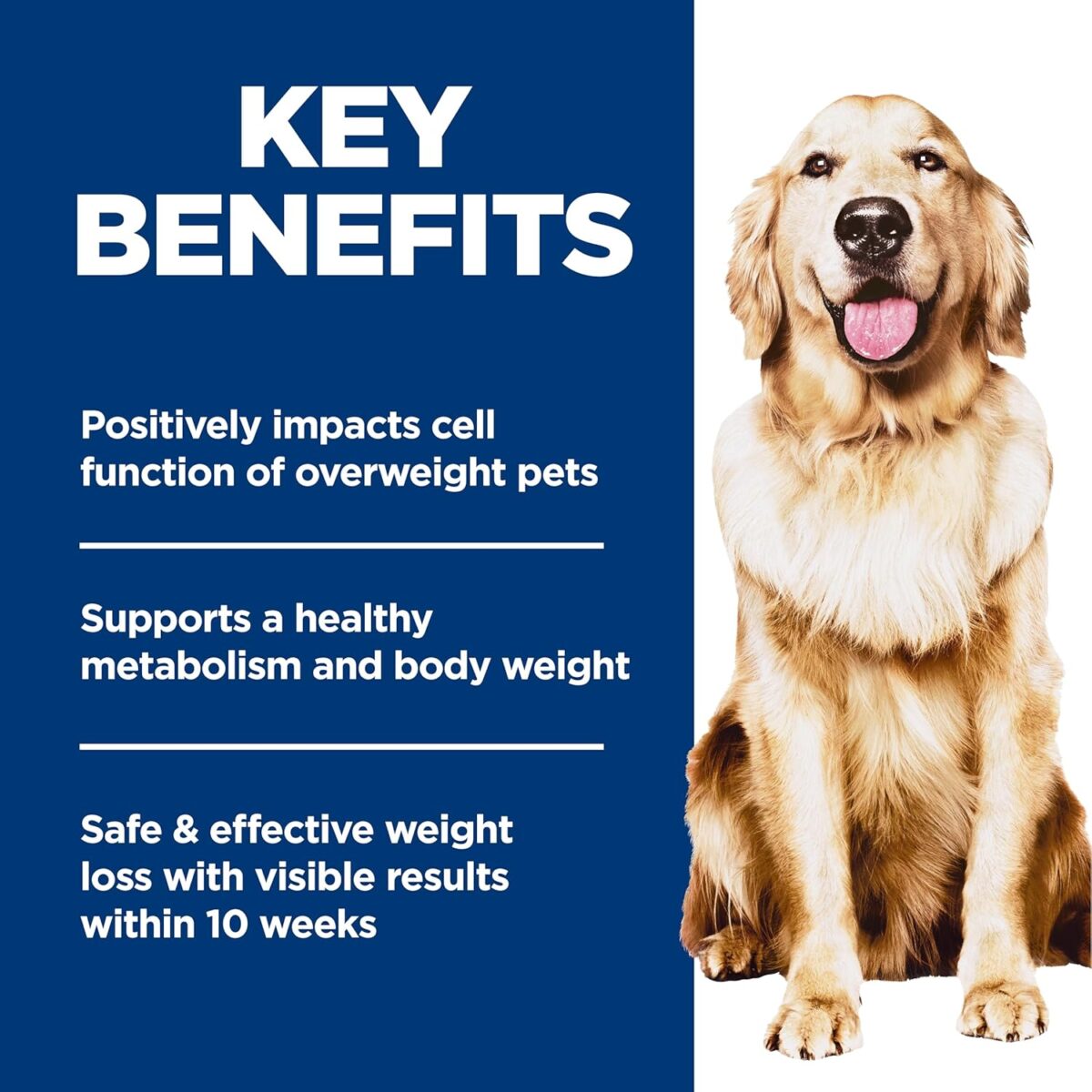 B0C12WPNLX_img_4 Hill's Science Diet Adult Perfect Weight Chicken Recipe Dry Dog Food 5.44 kg