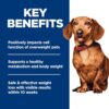 B0C12YRQ41_img_4 Hill's Science Diet Perfect Weight Adult Small and Mini Breed Chicken Recipe Dry Dog Food 5.67 kg