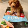Pet Food Australia Chicken & Duck with Hemp Seed Oil Grain Free Dry Puppy Dog Food 3kg [x2]