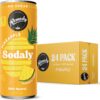 Remedy Sodaly Raspberry Prebiotic Soft Drink 250 mL 24-Pack [x2]