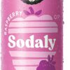 Remedy Sodaly Raspberry Prebiotic Soft Drink 250 mL 24-Pack [x2]