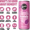 Remedy Sodaly Raspberry Prebiotic Soft Drink 250 mL 24-Pack [x2]