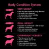 Purina Supercoat Puppy Chicken Dry Dog Food 18 Kg [x2]