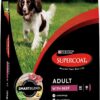 Purina Supercoat Adult Beef Dry Dog Food 18 Kg [x2]