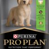 B0CJXPSSZN_img_1 Purina Pro Plan Puppy Dry Dog Food Large Breed Chicken 15kg