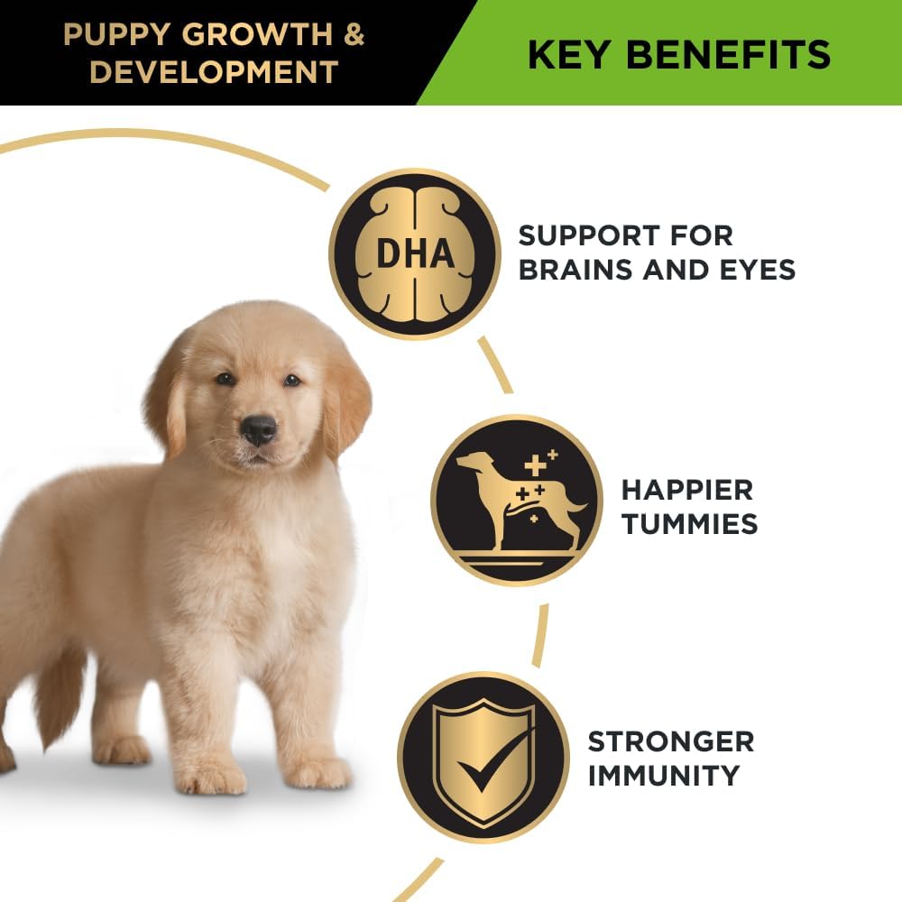 B0CJXPSSZN_img_5 Purina Pro Plan Puppy Dry Dog Food Large Breed Chicken 15kg