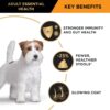 Purina Pro Plan Adult Dry Dog Food Small and Toy Breeds Chicken 2.5kg [x2]