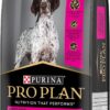 Purina Pro Plan Adult Dry Dog Food Medium and Large Breeds Salmon and Mackerel 12kg
