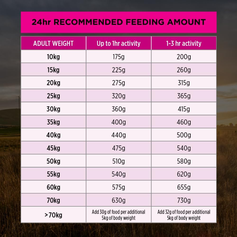 Purina Pro Plan Adult Dry Dog Food Medium and Large Breeds Salmon and Mackerel 12kg
