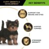 B0CJXRGYG3_img_5 Purina Pro Plan Puppy Dry Dog Food Small and Toy Breeds Chicken 7kg