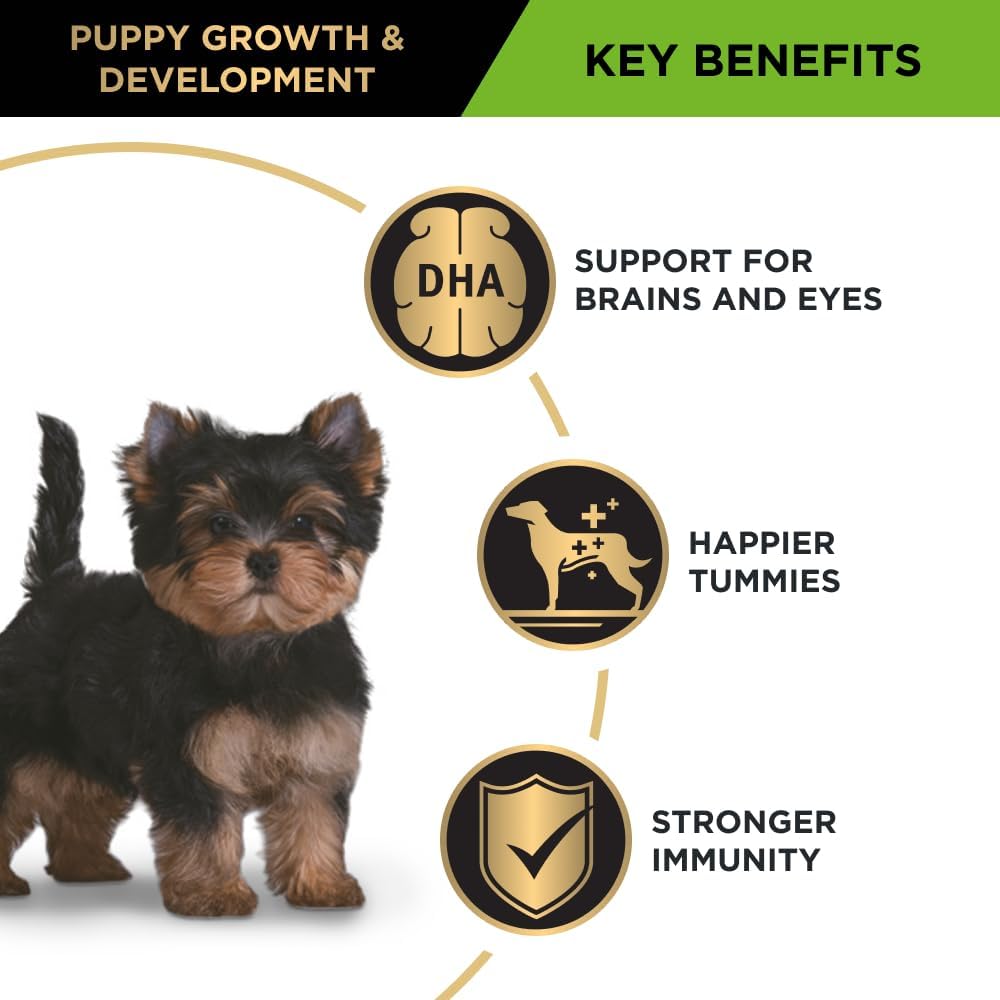 B0CJXRGYG3_img_5 Purina Pro Plan Puppy Dry Dog Food Small and Toy Breeds Chicken 7kg