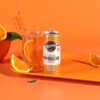 Remedy Kombucha Orange Squeeze 250mL 24-Pack [x2]