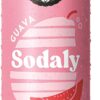 Remedy Sodaly Guava Prebiotic Soft Drink 250 mL Pack of 24 [x2]