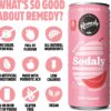 Remedy Sodaly Guava Prebiotic Soft Drink 250 mL Pack of 24 [x2]