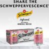 Schweppes Zero Sugar Raspberry & Blueberry Infused Natural Mineral Sparkling Water 375ml Pack of 10 [x6]