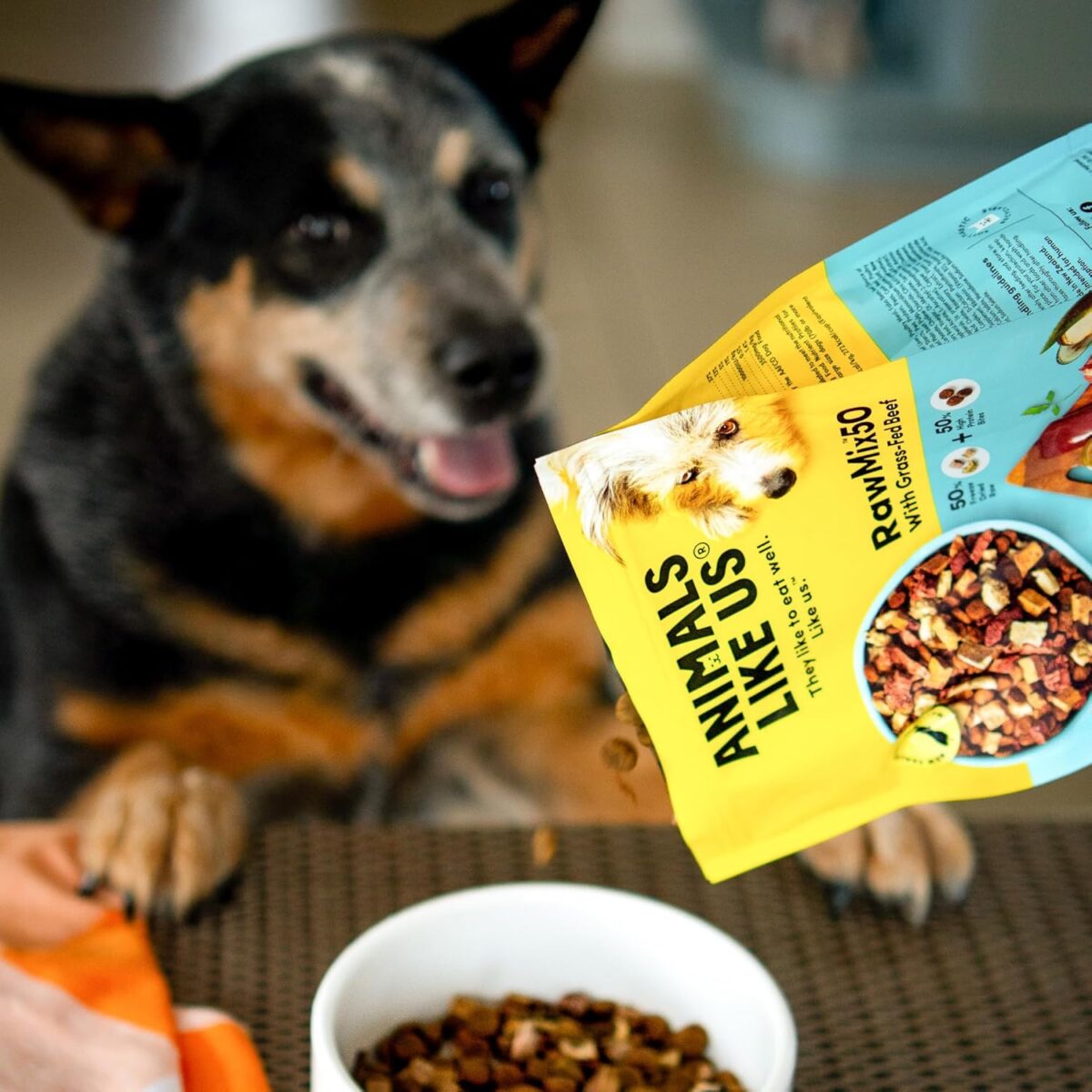 RawMix50 Dog Food Grass-Fed Beef 340g — 50% Freeze-Dried Raw, High Protein, Non-GMO, No Wheat or Corn [x3]
