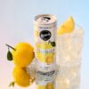 Remedy Sodaly Yuzu Lemon No Sugar Prebiotic Soft Drink 250 mL 24-Pack [x2]