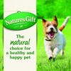 Nature's Gift Loaf Succulent Lamb Adult Dog Wet Food 100g (Pack of 24) [x2]