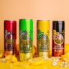Level Lemonade High Magnesium, Vitamin C Low Sugar Sports Drink Multi Flavour Pack [x2]