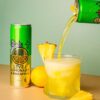 Level Lemonade High Magnesium, Vitamin C Low Sugar Sports Drink Multi Flavour Pack [x2]