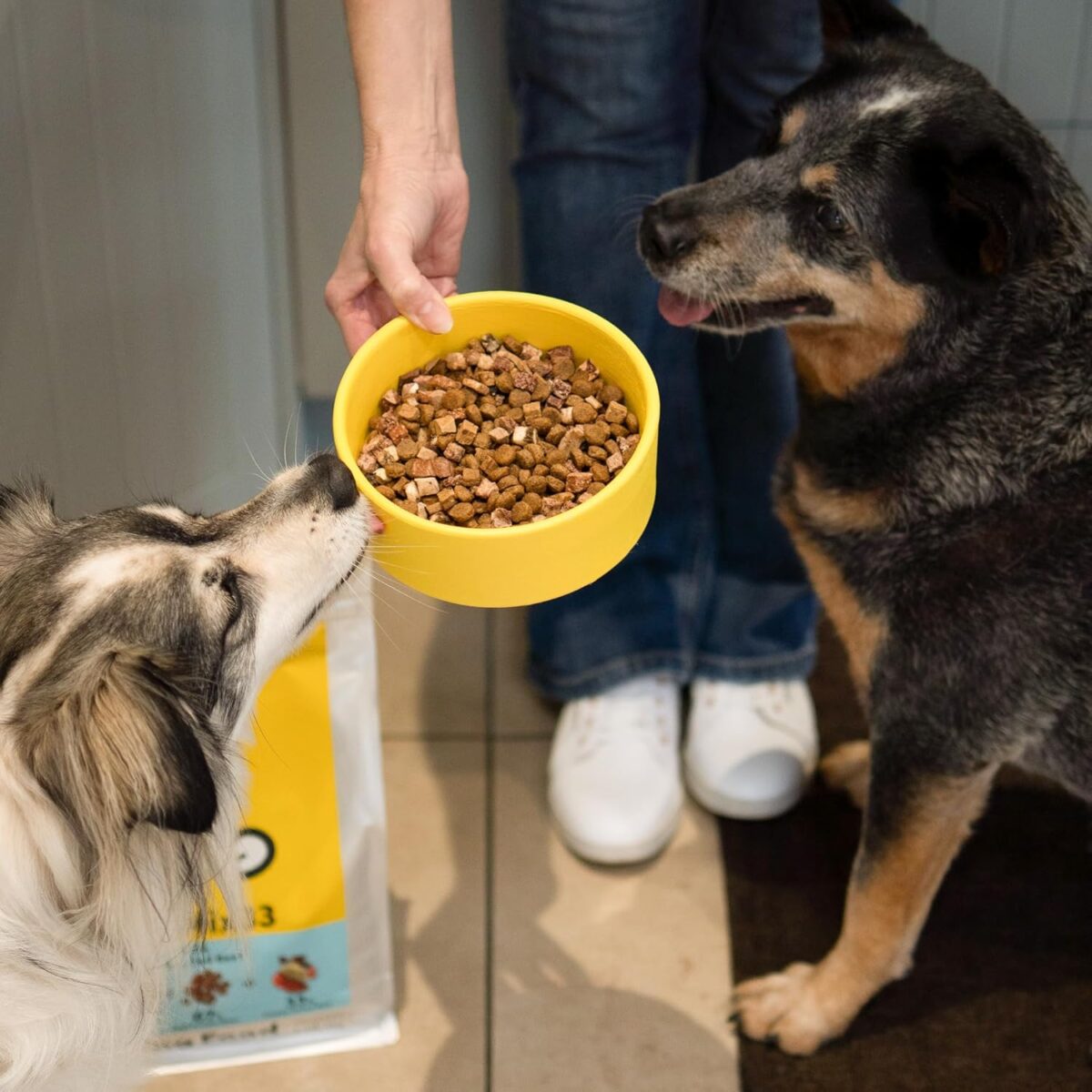 B0D5FYQ49Z_img_6 RawMix33 Dog Food Grass-Fed Beef 2kg