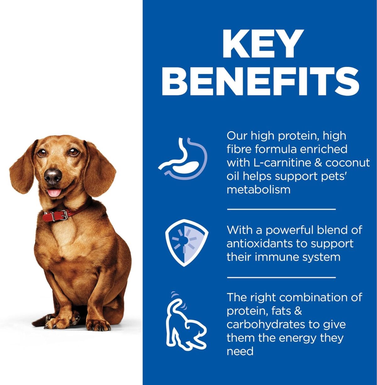 B0DDCNJD39_img_7 Hill's Science Diet Perfect Weight Small & Mini with Turkey Canned Dog Food 12x200g