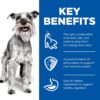 Hill's Science Diet Adult 7+ Senior Small & Mini with Chicken Canned Wet Dog Food 12x200g
