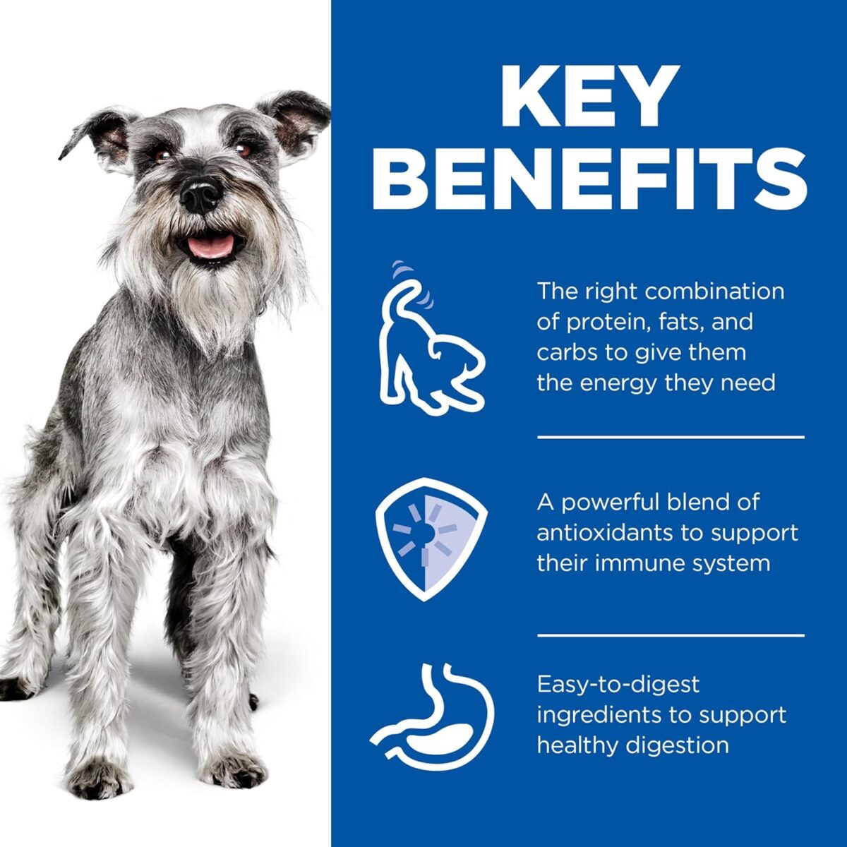 Hill's Science Diet Adult 7+ Senior Small & Mini with Chicken Canned Wet Dog Food 12x200g