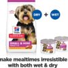 Hill's Science Diet Adult Small & Mini with Chicken Canned Wet Dog Food 12x200g