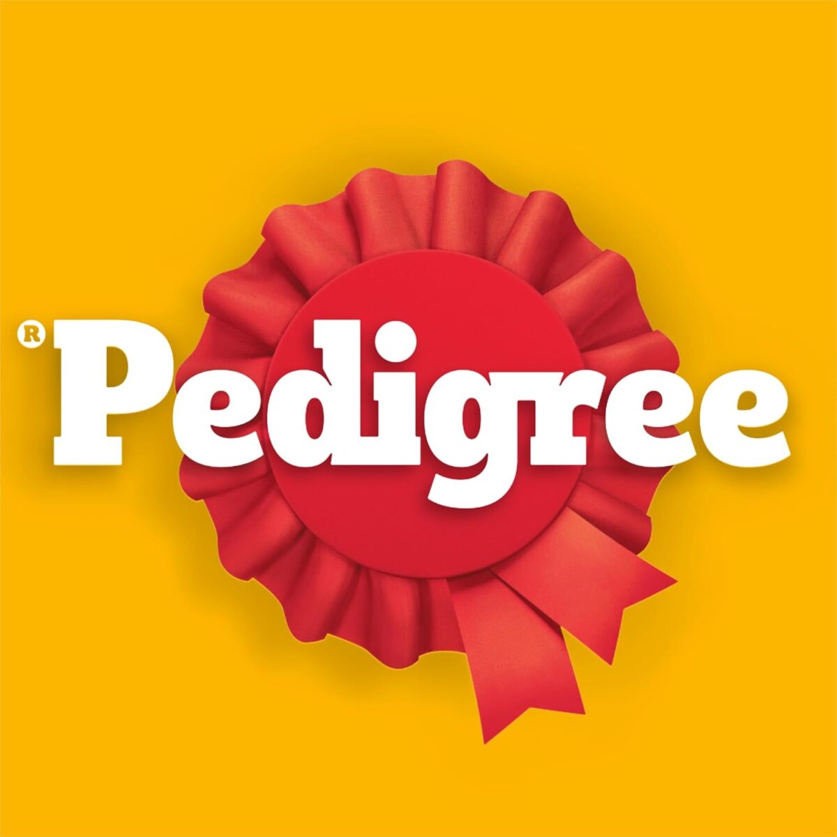 Pedigree Adult Wet Dog Food Loaf with Five Kinds of Meat 1.2kg Can, 12 Pack [x2]