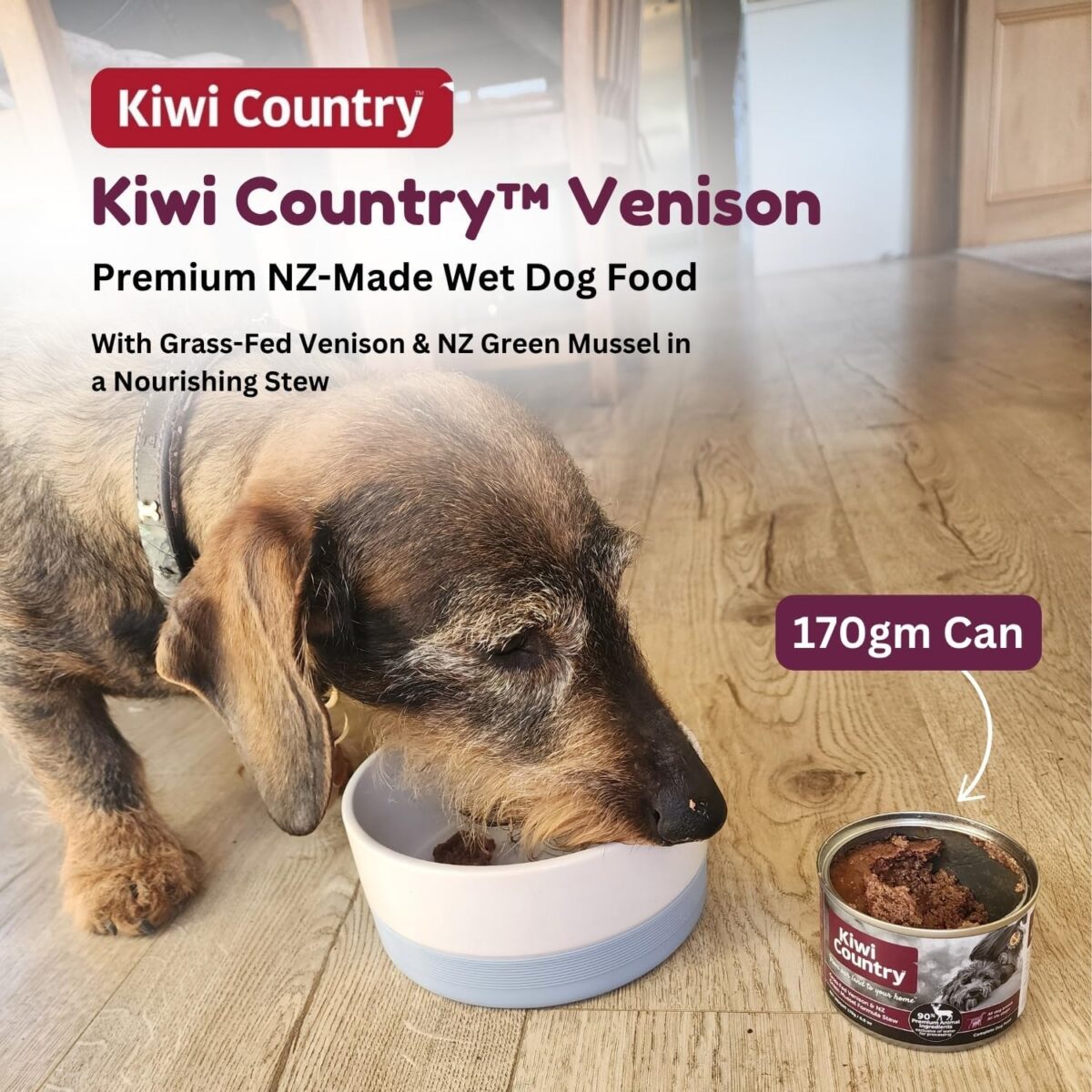 Wet Dog Grass-Fed Venison & NZ Green Mussel Grain-Free Dog Food 170g Pack of 24