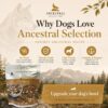 Air Dried Chicken Dog Food 100g Trial Pack [x3]