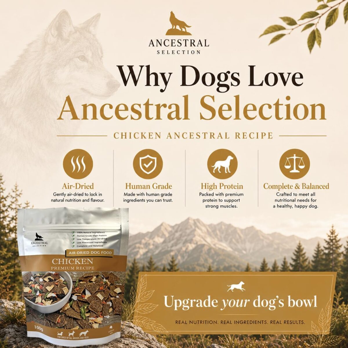Air Dried Chicken Dog Food 100g Trial Pack [x3]
